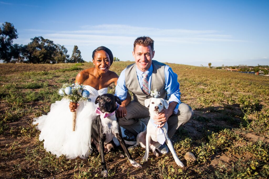 A couple with their dogs on wedding day